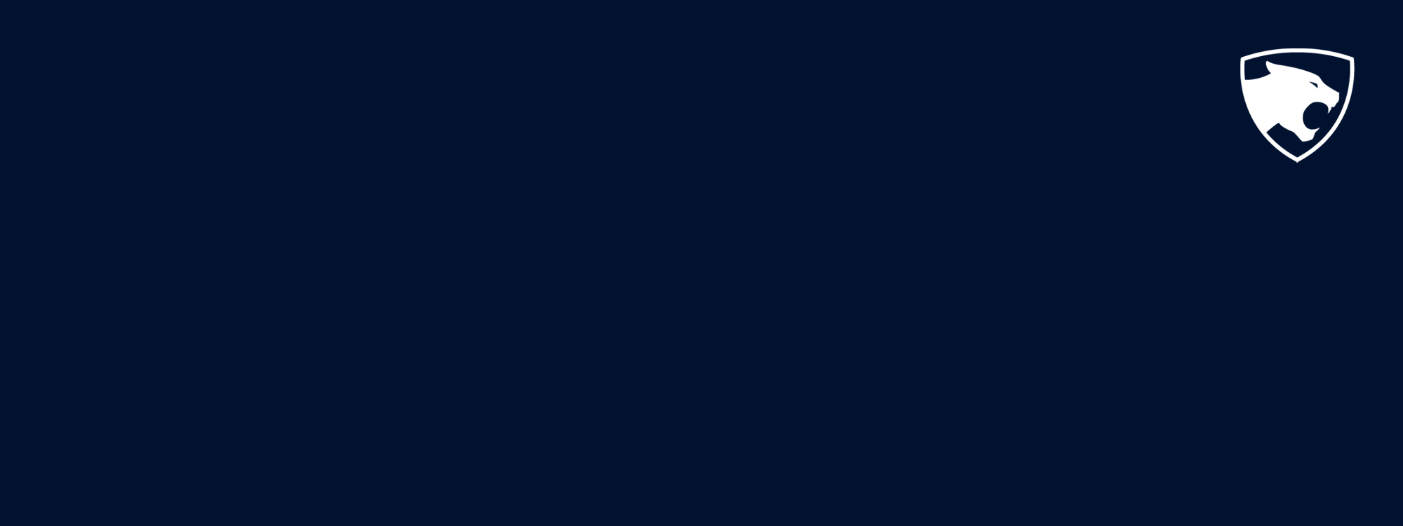 Homepage dnsolutions intro